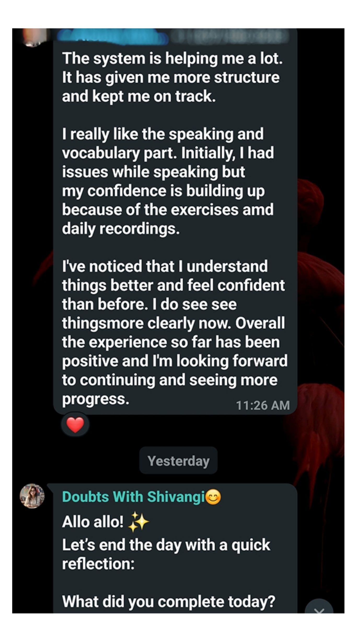 WhatsApp Chat Screenshot 1