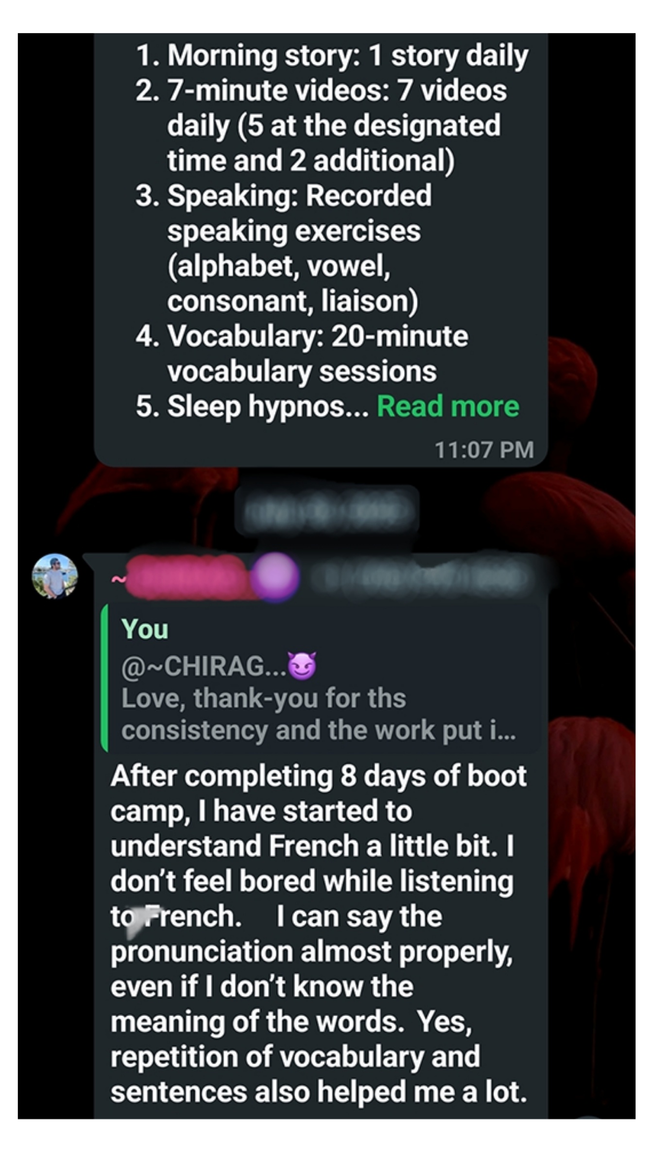 WhatsApp Chat Screenshot 8